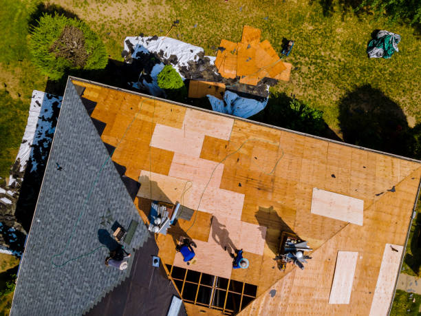 Roof Gutter Cleaning in Rogersville, TN