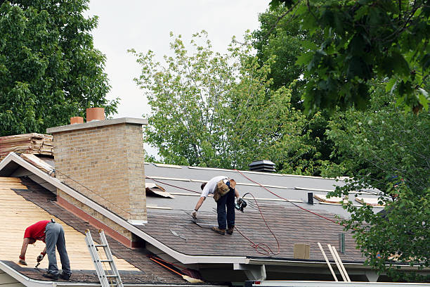 Best Gutter Installation and Roofing  in Rogersville, TN